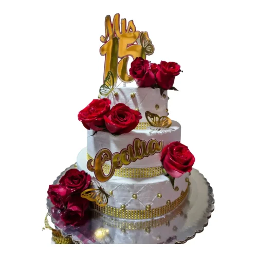 WhatsApp Image 2025-06-23 at 12.33.45